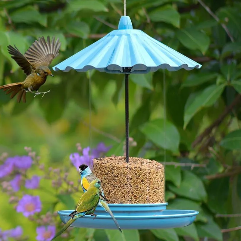 Artistic Outdoor Feeder for Birds