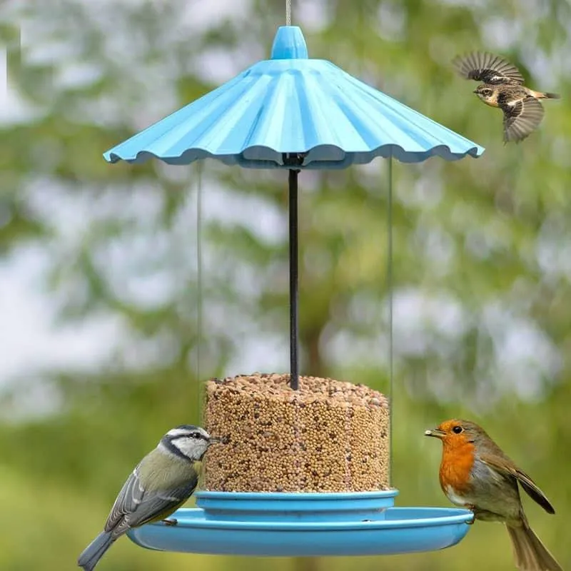 Artistic Outdoor Feeder for Birds