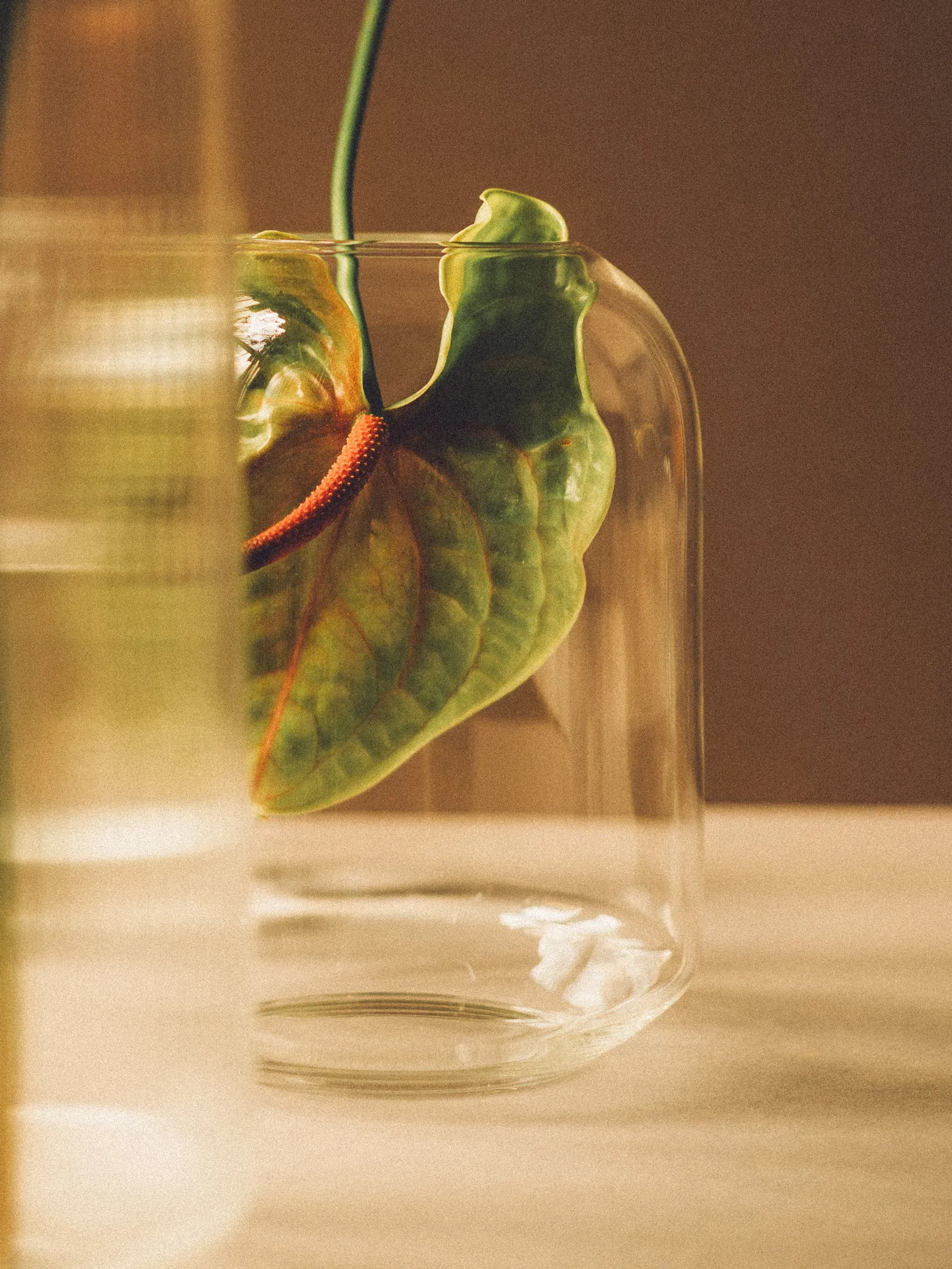 Elba Vase | Clear | Tall