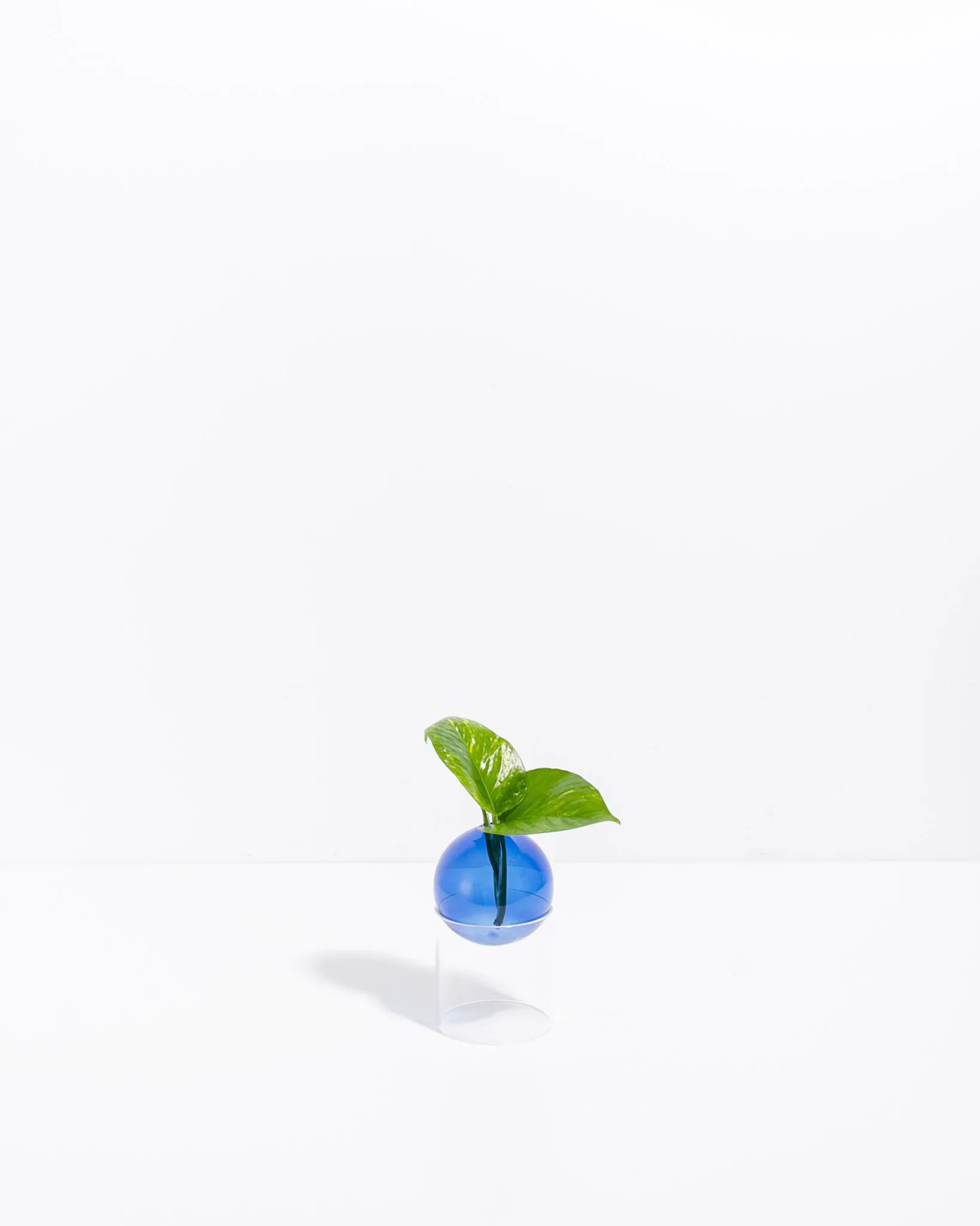 Glass Orb Vase