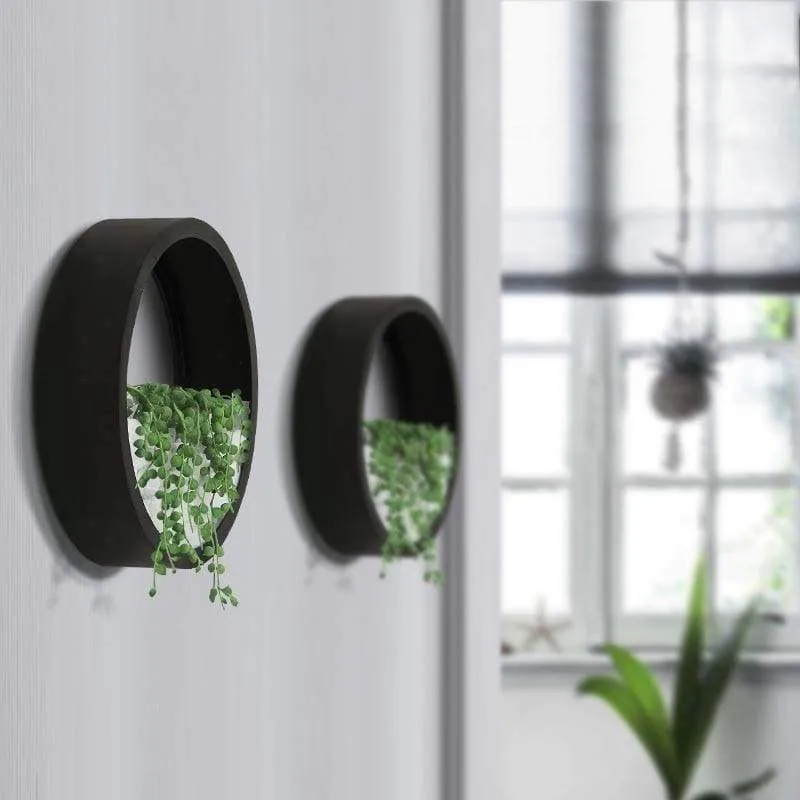 Orbicular wall plant vase